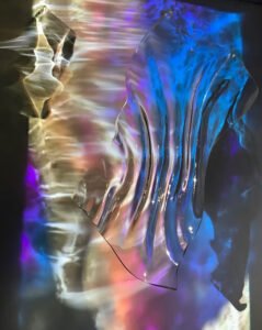 Our Universal Sea 2018