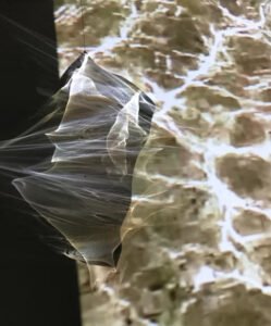 Our Universal Sea 2018