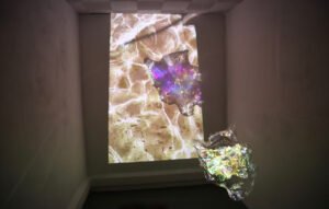 Our Universal Sea 2018