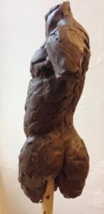 Studies from the life model