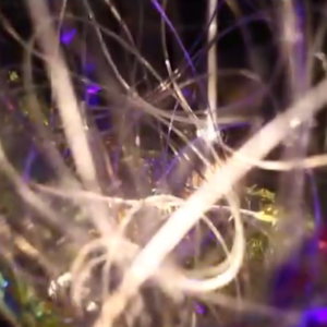 Transforming from Stardust