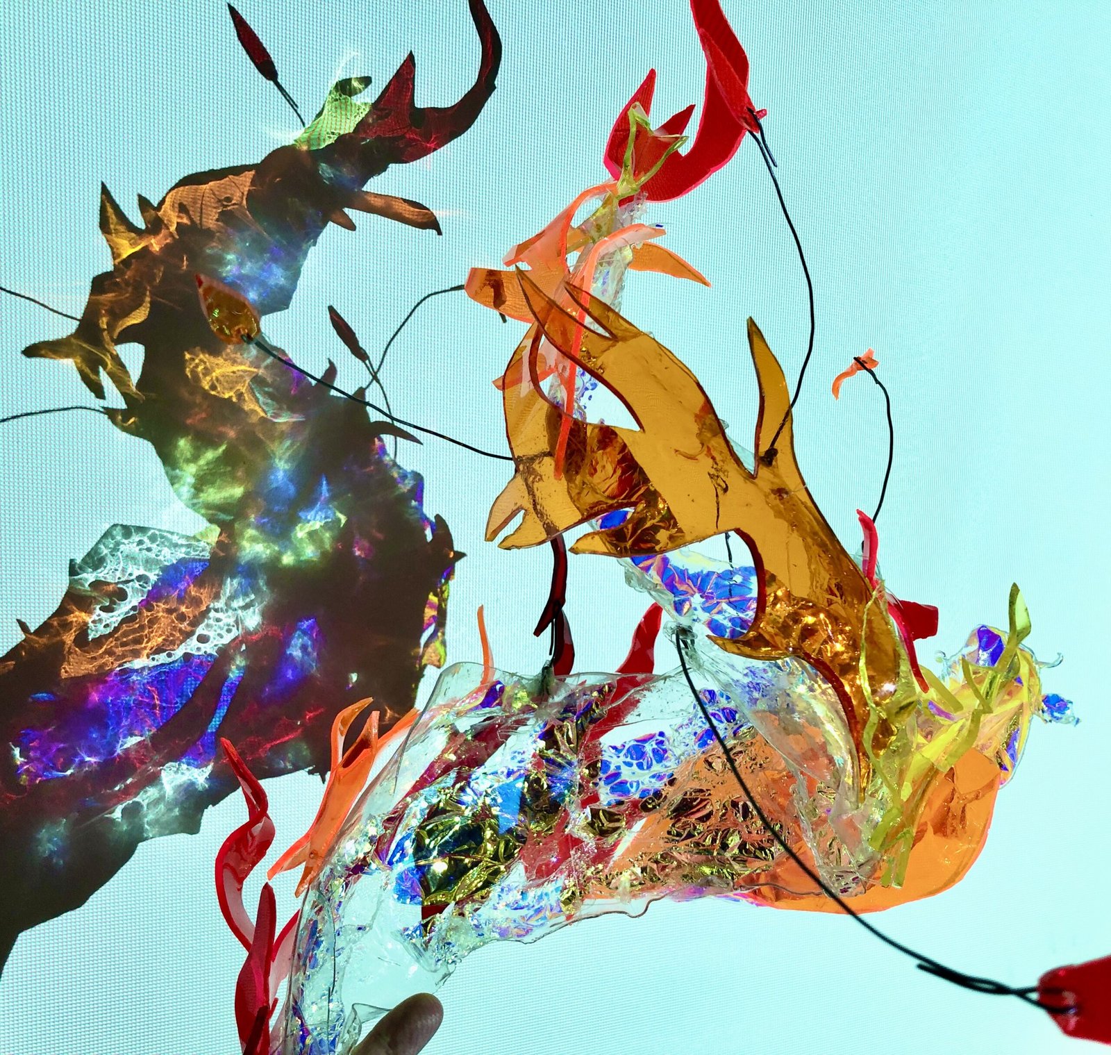 IMG 3932 2 scaled